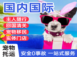 河东空运国际宠物托运 【国